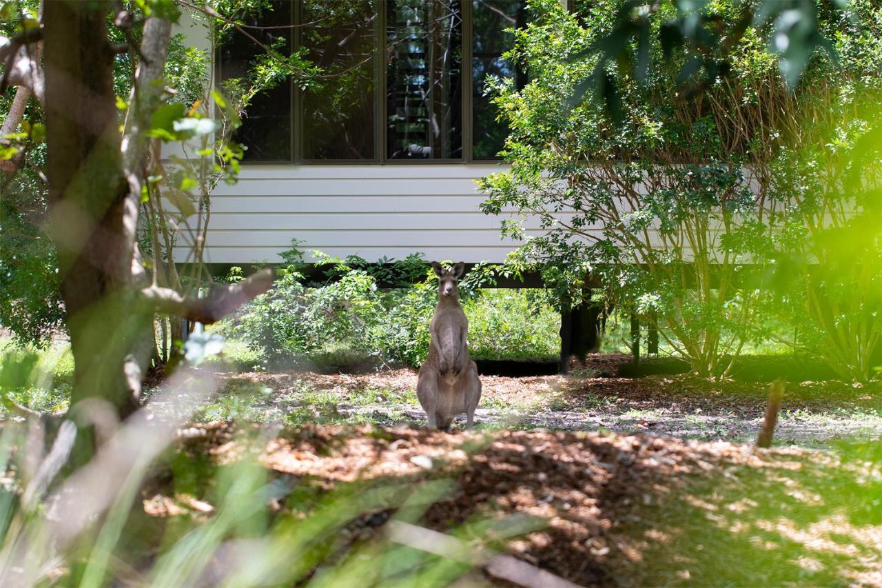 Eumarella Shores Noosa Lake Retreat Noosaville Eksteriør bilde