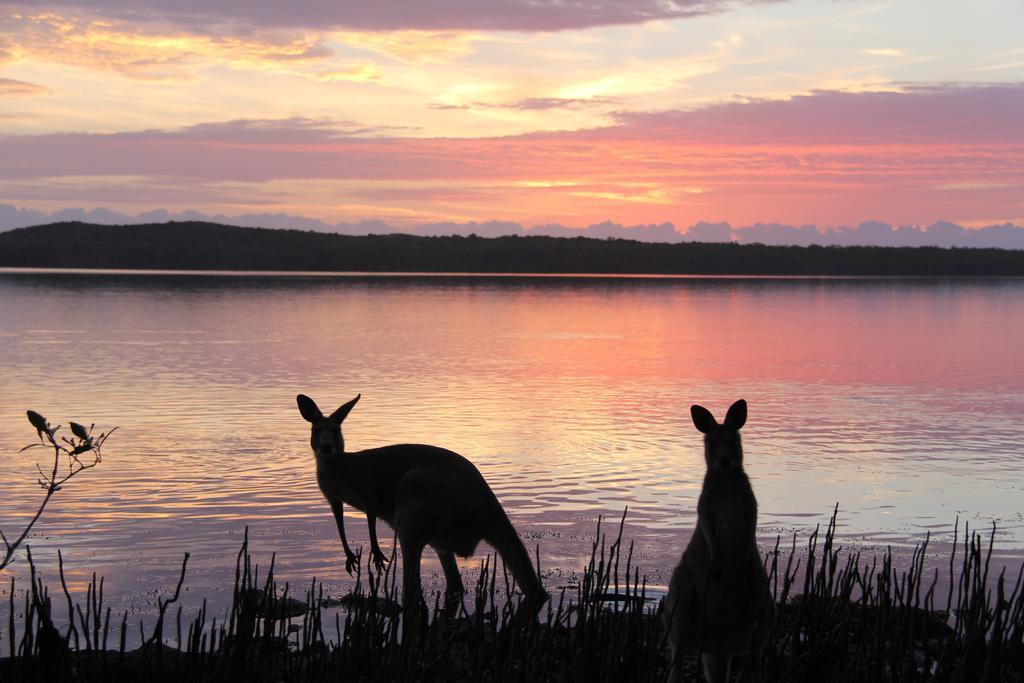 Eumarella Shores Noosa Lake Retreat Noosaville Eksteriør bilde