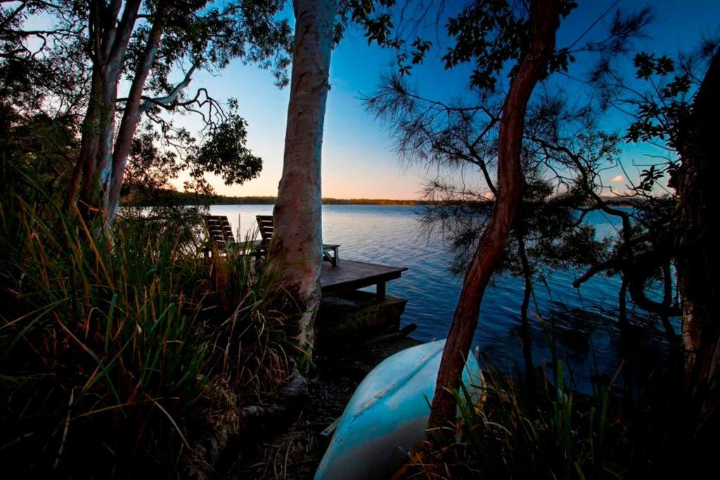 Eumarella Shores Noosa Lake Retreat Noosaville Rom bilde